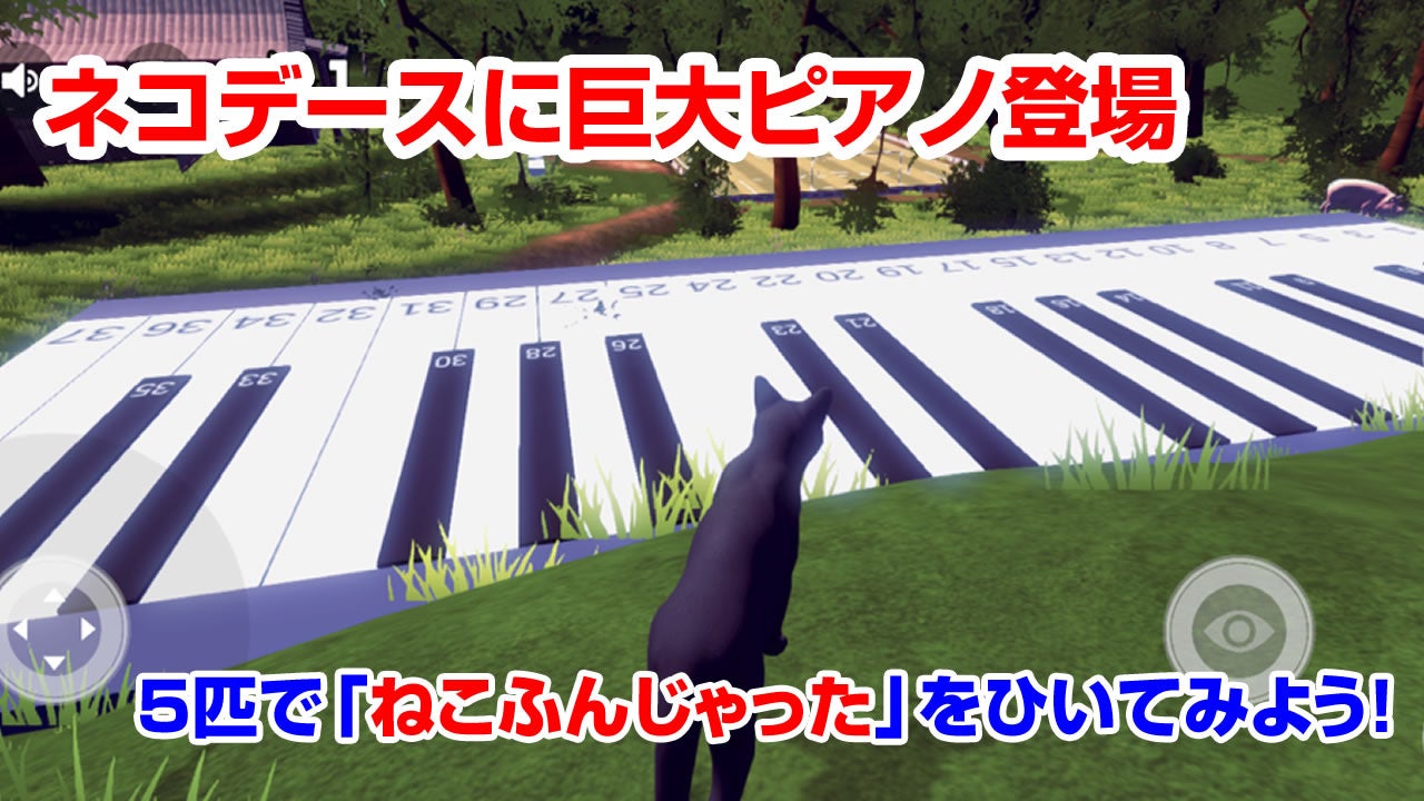 ネコデースに巨大ピアノ登場