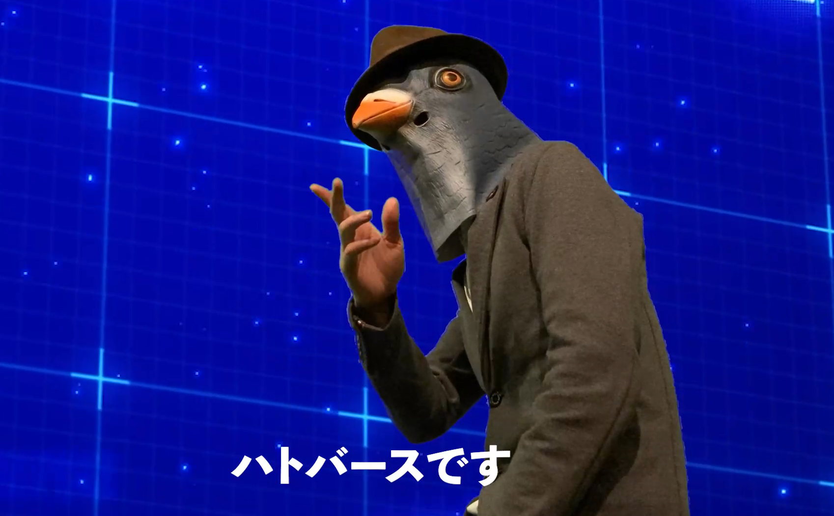 ハト紳士の説明の様子