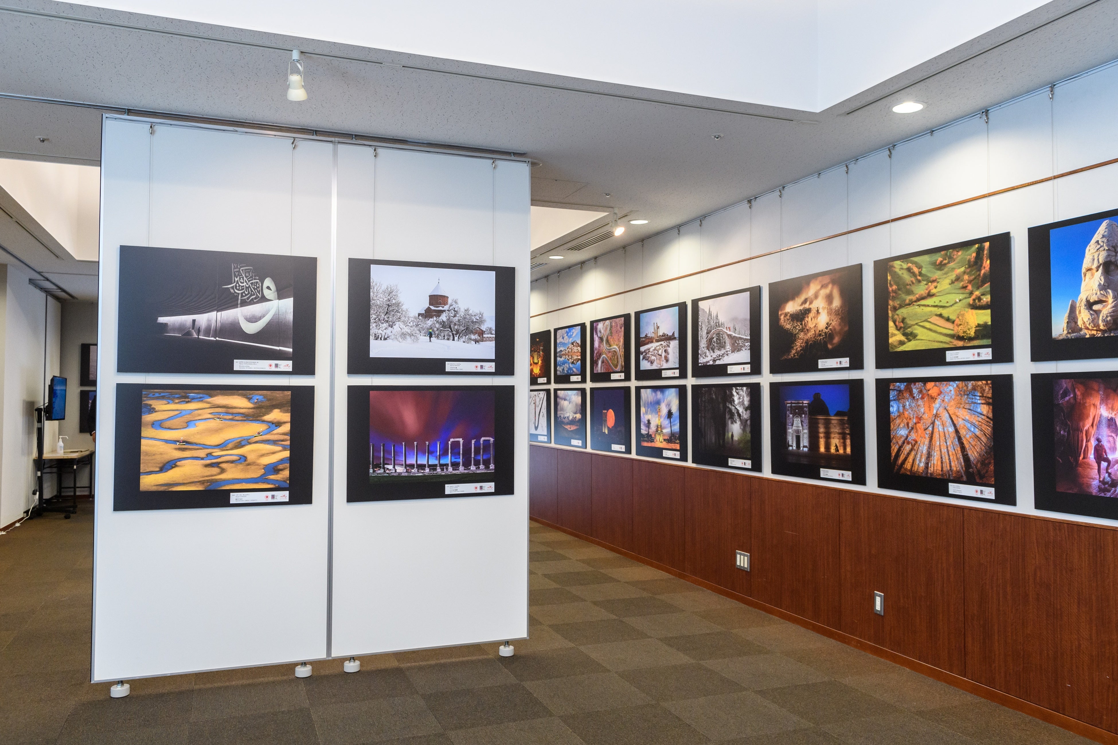 展示作品（一部）