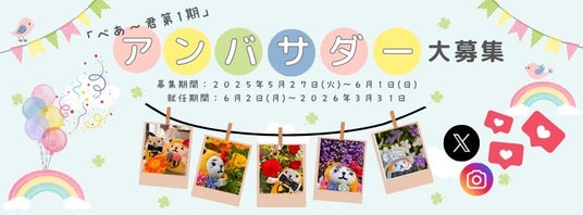 SNSで“ぬい撮り”ד暮らし”の魅力を発信! SNSで“ぬい撮り”ד暮らし”の魅力を発信!