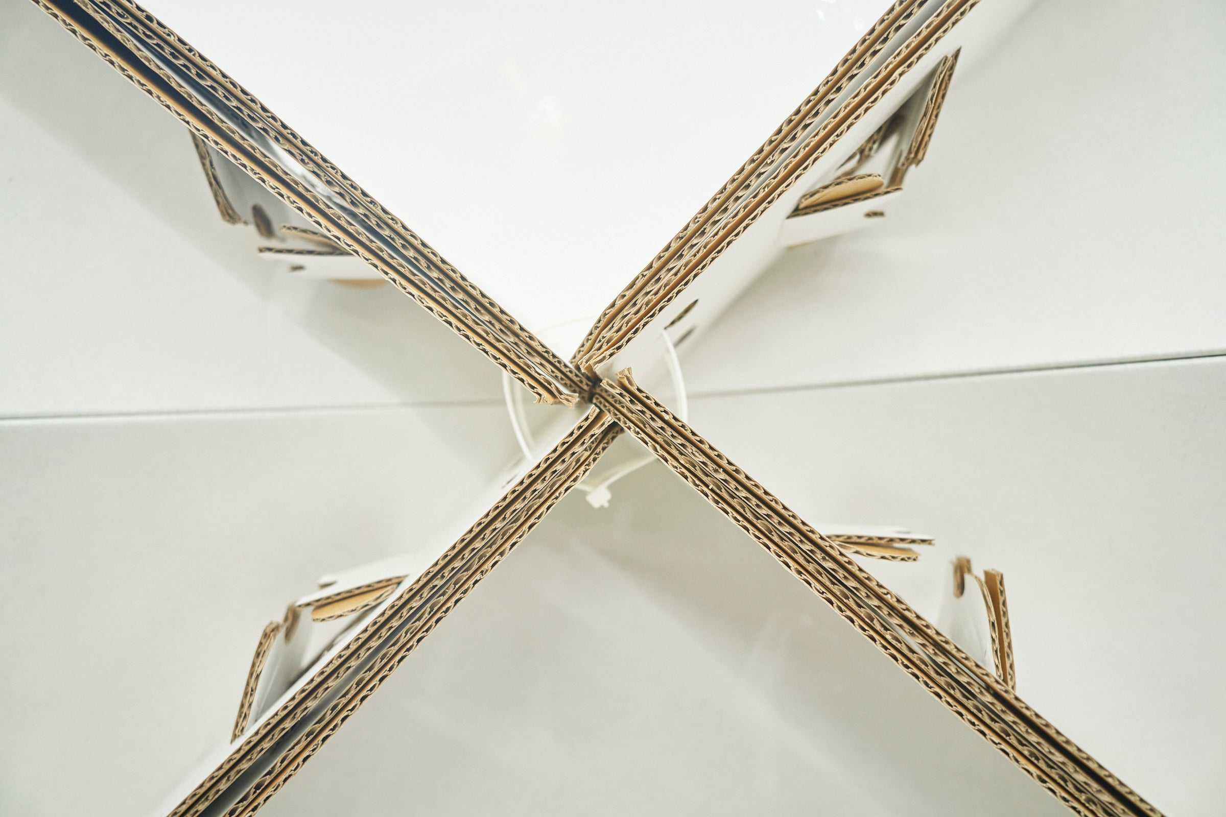 撮影：FIELD assistant／Yosuke Kashiwakura