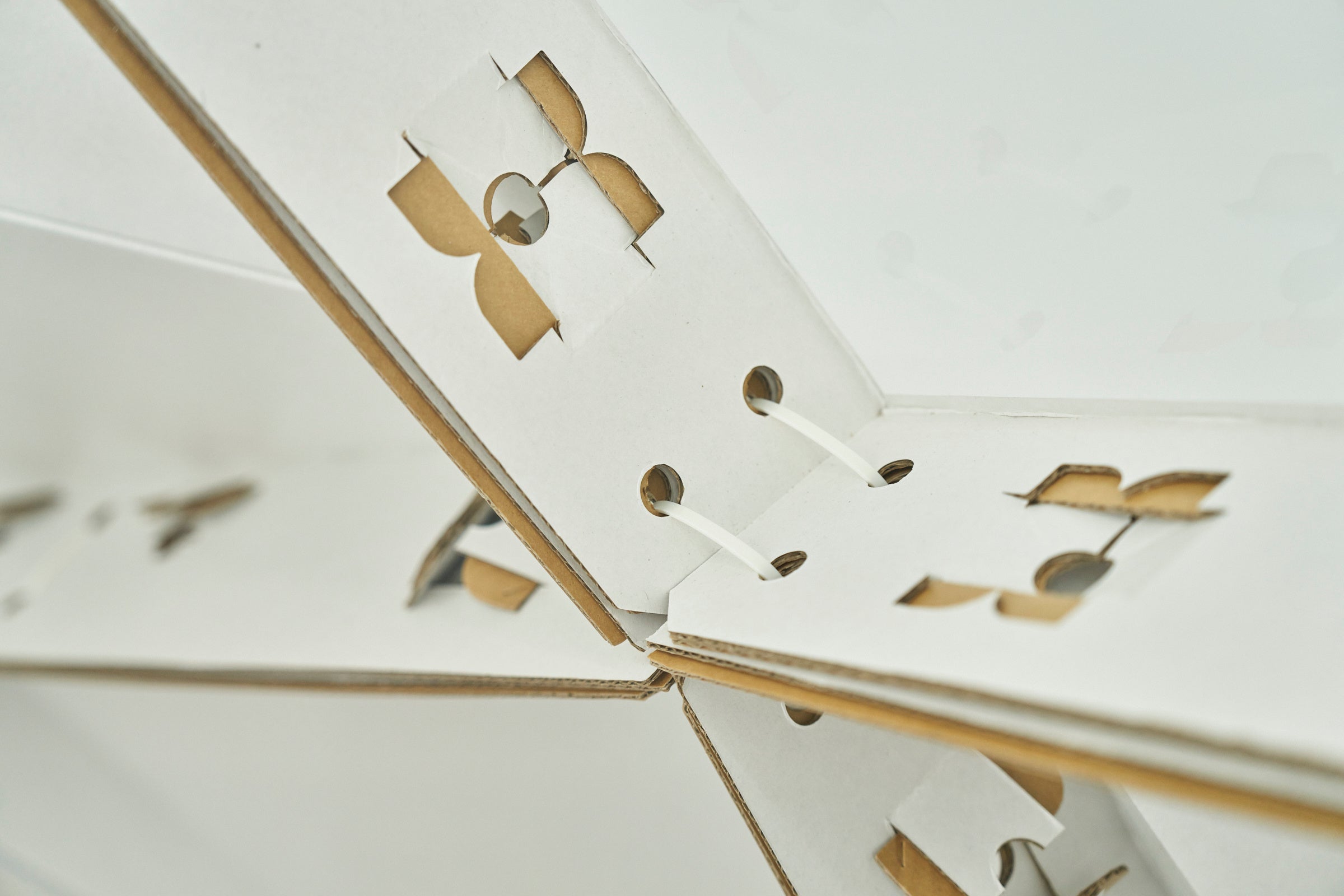 撮影：FIELD assistant／Yosuke Kashiwakura