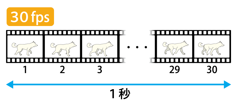 初心者には分かりづらい専門用語の意味も解説