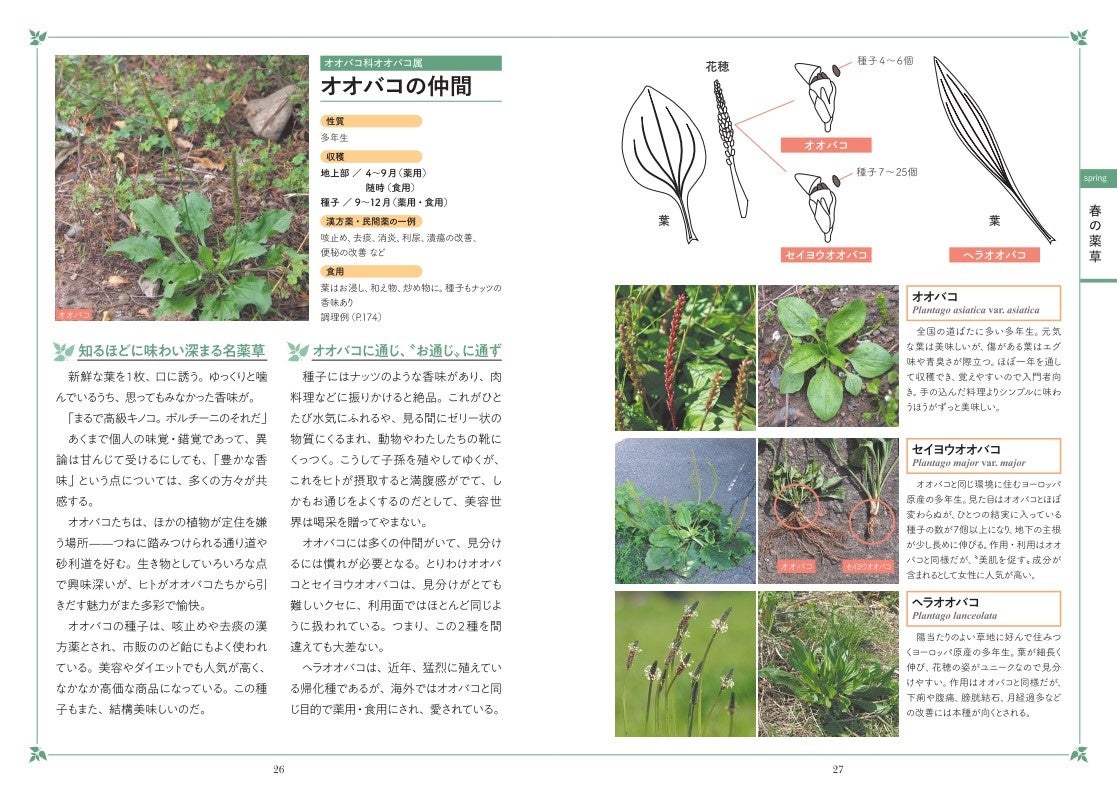 Aysmmrwreundbm Aysmmrwreundbm