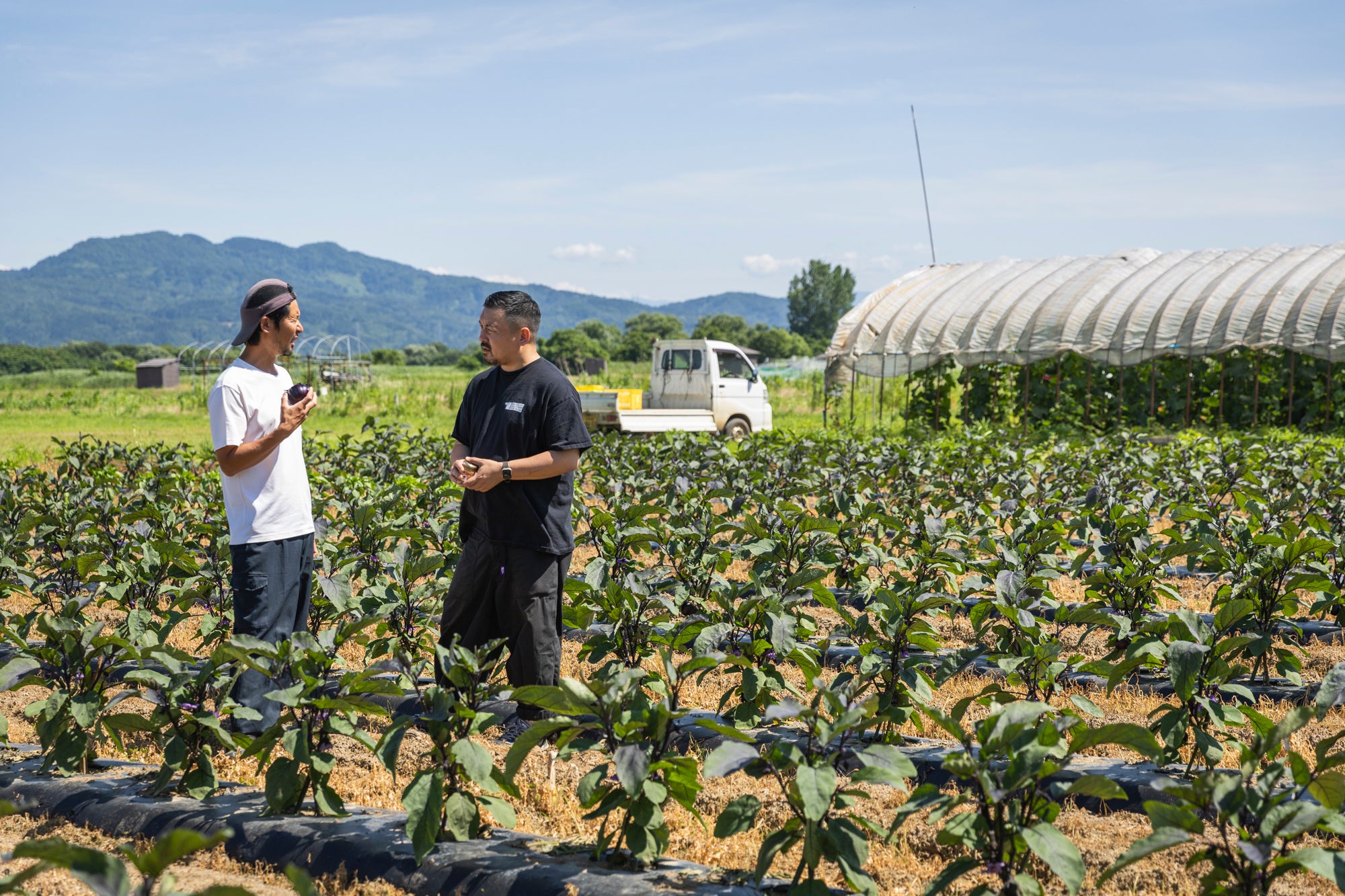 長岡で伝統野菜を育てる竹内さん（左）と弊社代表の鈴木（右）