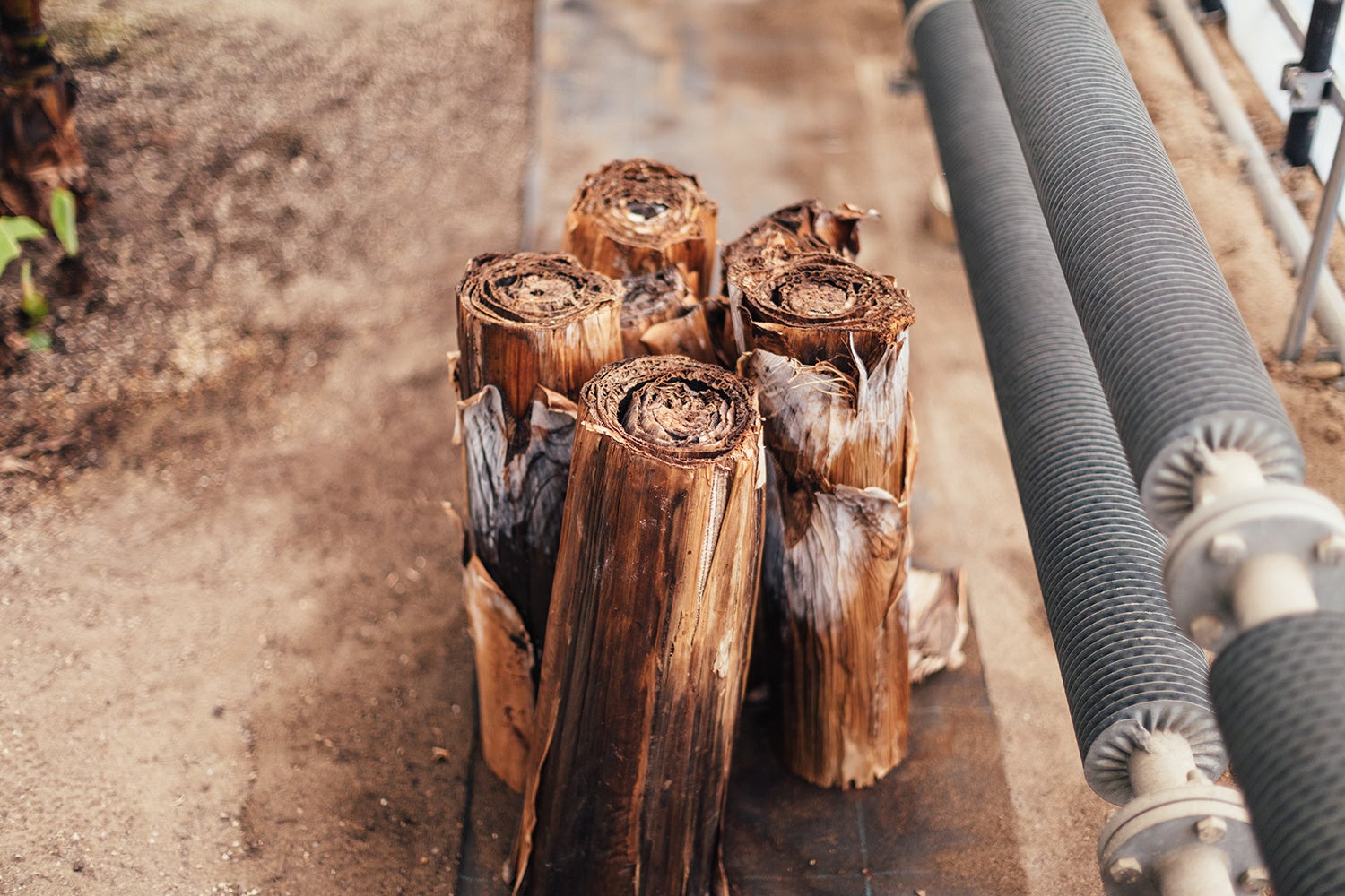 和紙の制作に使用する切り株と、排熱により温めた水で行う温度管理