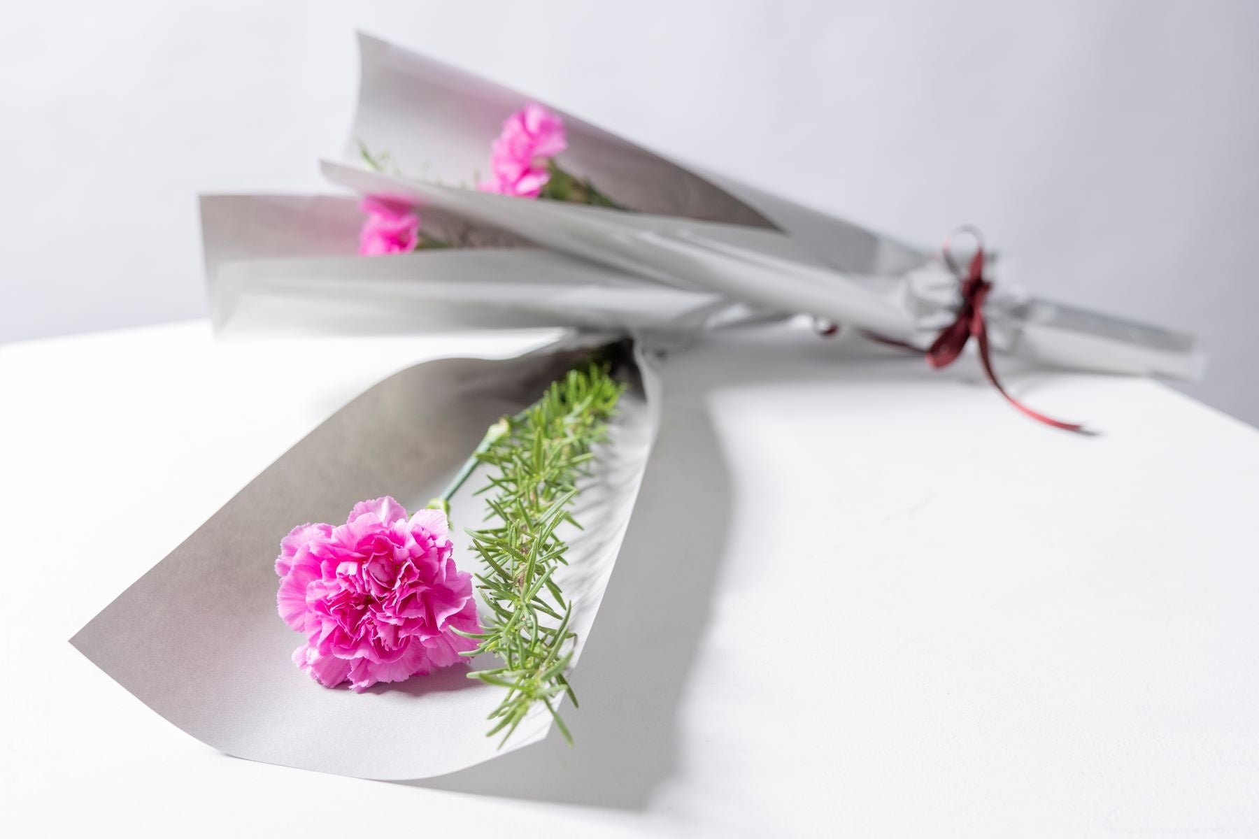 ▲カーネーション イメージ