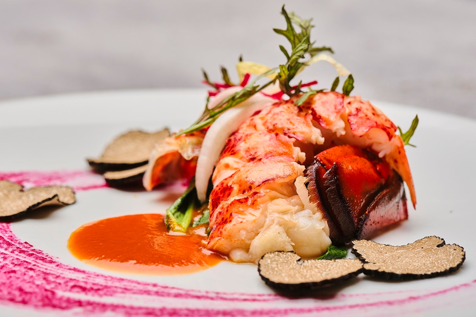 オマール海老のフリットゥーラ　黒トリュフとビーツのインサラータ