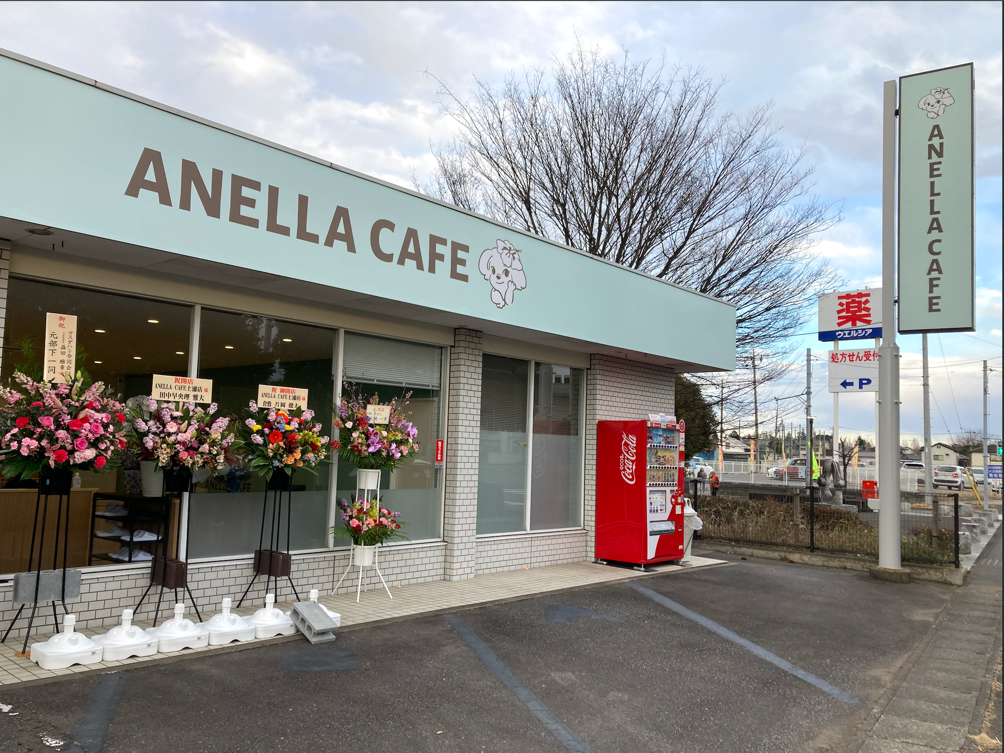 【茨城初上陸】保護犬猫×就労支援の次世代型シェルター「ANELLA CAFE 土浦店」1月30日(金)グランドオープン