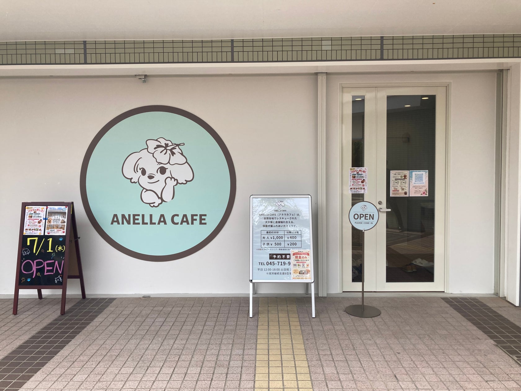 【7月1日 新店誕生】止まらない、救う輪の拡大。勢いを増す保護犬猫カフェ「ANELLA CAFE 相鉄ライフ緑園都市店」がオープン!