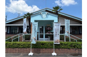 保護犬猫カフェ「ANELLA CAFE」が全国で続々オープン、社会貢献と事業拡大を両立