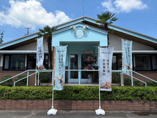 【新潟県初陸上!】全国41店舗を達成した「ANELLA CAFE」が新発田市に誕生!保護犬猫と心通う癒やしスペースが8月8日(土)オープン! 【新潟県初陸上!】全国41店舗を達成した「ANELLA CAFE」が新発田市に誕生!保護犬猫と心通う癒やしスペースが8月8日(土)オープン!