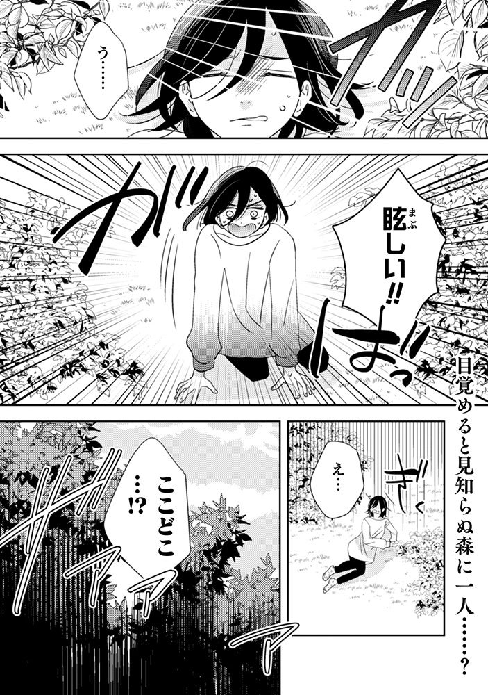 王子さまに出会ってずっとずっと昼も夜も愛されるお姫さまになる ときめきお姫さま 2 いやいや姫とおねだり王子 | シルヴィア