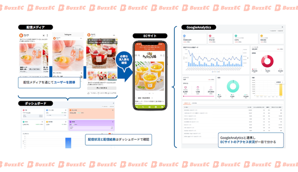 広告の配信結果(左)とGA4によるサイト分析(右)を一つのダッシュボードで確認可能に