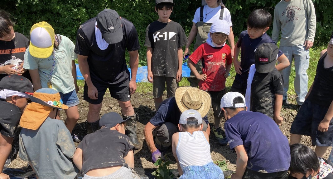 都心の小学校の校庭で 米づくり 6月18日体験学習支援 未来を考える農業実習授業 株式会社イメージワンのプレスリリース 都心の小学校の校庭で 米づくり 6月18日体験学習支援 未来を考える農業実習授業 株式会社イメージワンのプレスリリース