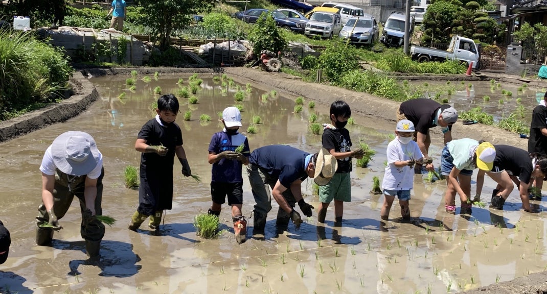 都心の小学校の校庭で 米づくり 6月18日体験学習支援 未来を考える農業実習授業 株式会社イメージワンのプレスリリース 都心の小学校の校庭で 米づくり 6月18日体験学習支援 未来を考える農業実習授業 株式会社イメージワンのプレスリリース