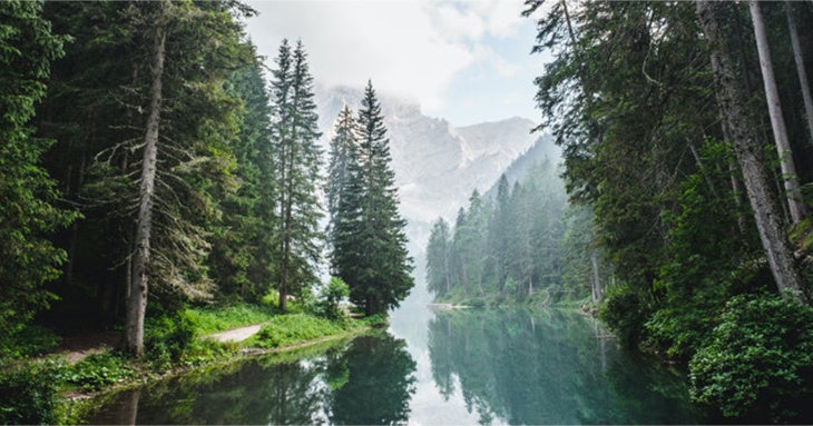 RIOSOLブランド #ハイ＆ロー2WAYコット