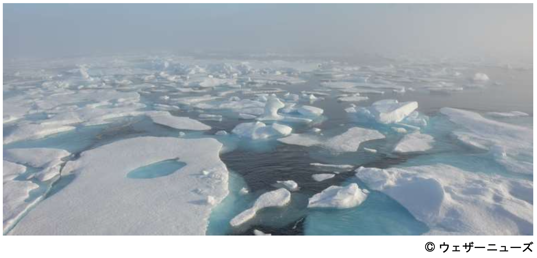 【海氷の写真】