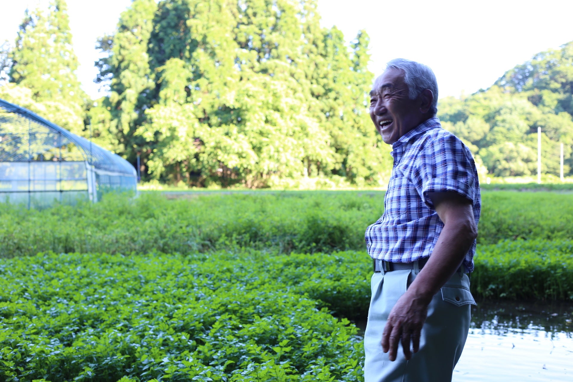 きりたんぽ鍋に欠かせない地場野菜「セリ」栽培の後継者を継業バンクでマッチング。春には移住する予定だ