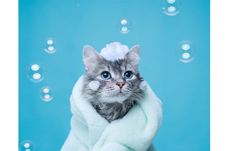 アトピーはお風呂ng アトピーに良い 悪いお風呂の入り方の調査を開始 バスリエのプレスリリース アトピーはお風呂ng アトピーに良い 悪いお風呂の入り方の調査を開始 バスリエのプレスリリース