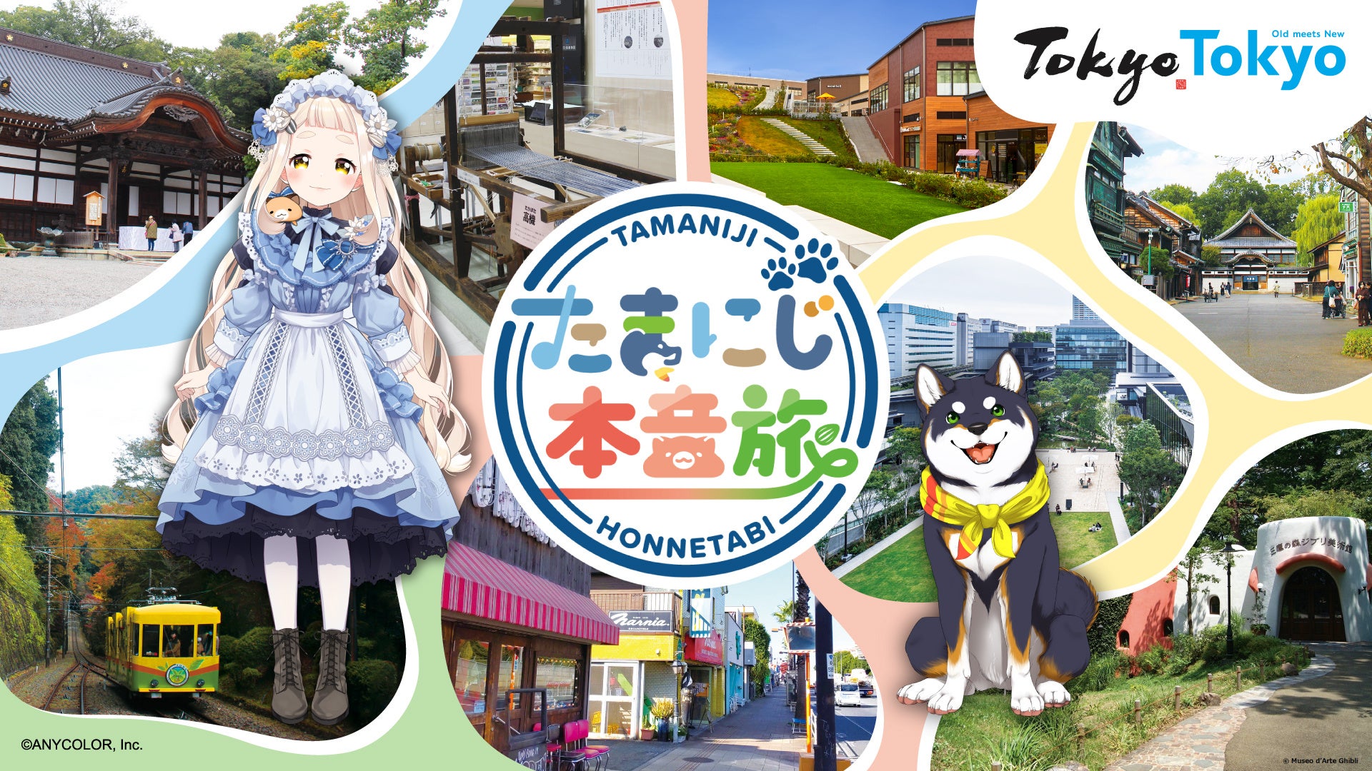 たまにじ本音旅 デジタルラリー