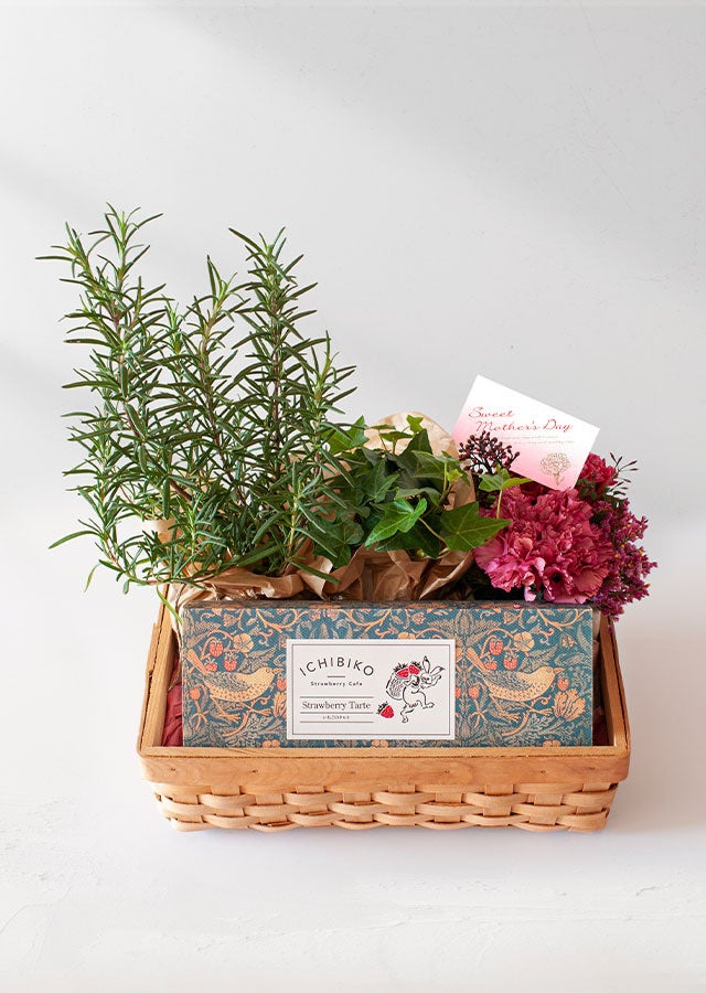 ICHIBIKOいちごのタルト＆アソートバスケット
