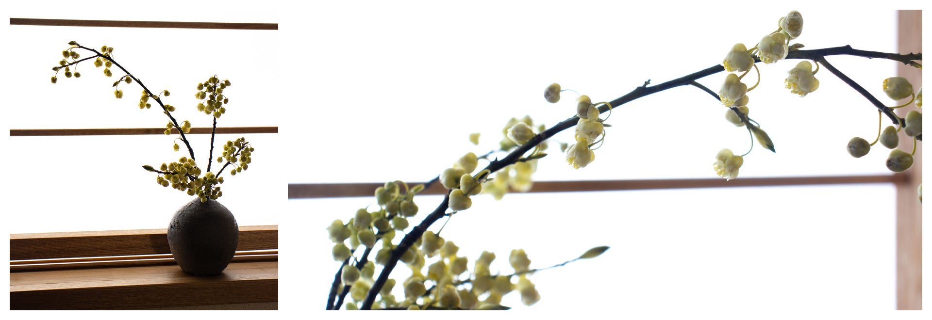 京都の草花を楽しむ定期便 Tayori 京の花だより 和のしつらいを楽しむ 3月 花見月 はなみづき を発売 ユー花園のプレスリリース