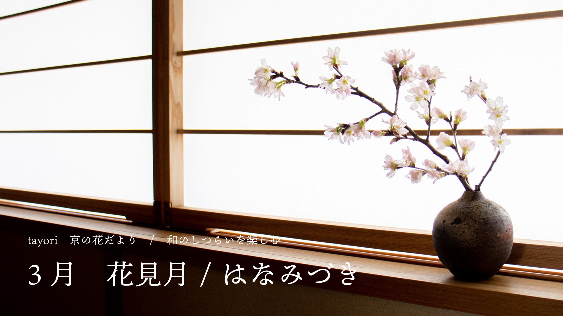 京都の草花を楽しむ定期便 Tayori 京の花だより 和のしつらいを楽しむ 3月 花見月 はなみづき を発売 ユー花園のプレスリリース 京都の草花を楽しむ定期便 Tayori 京の花だより 和のしつらいを楽しむ 3月 花見月 はなみづき を発売 ユー花園のプレスリリース