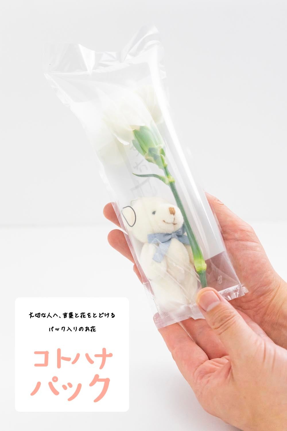 「コトハナパック  ぱっくまエディション 」カーネーション白