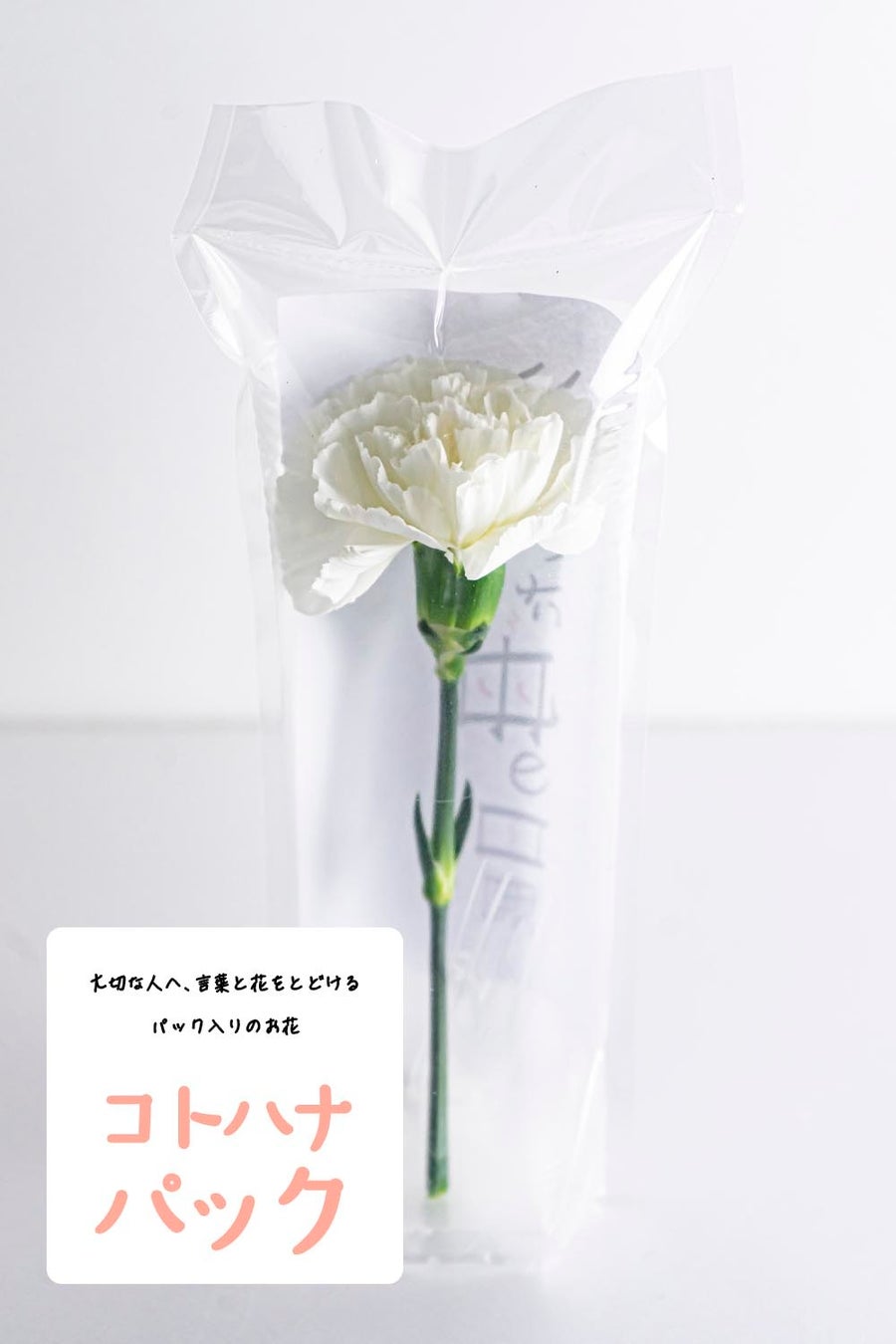 死んだ母の日展 コトハナパック 天国のお母さんに感謝の気持ちを供える 手紙と花をワンパックにしたお供え花の新提案 ユー花園のプレスリリース 死んだ母の日展 コトハナパック 天国のお母さんに感謝の気持ちを供える 手紙と花をワンパックにしたお供え花の新提案 ユー花園のプレスリリース