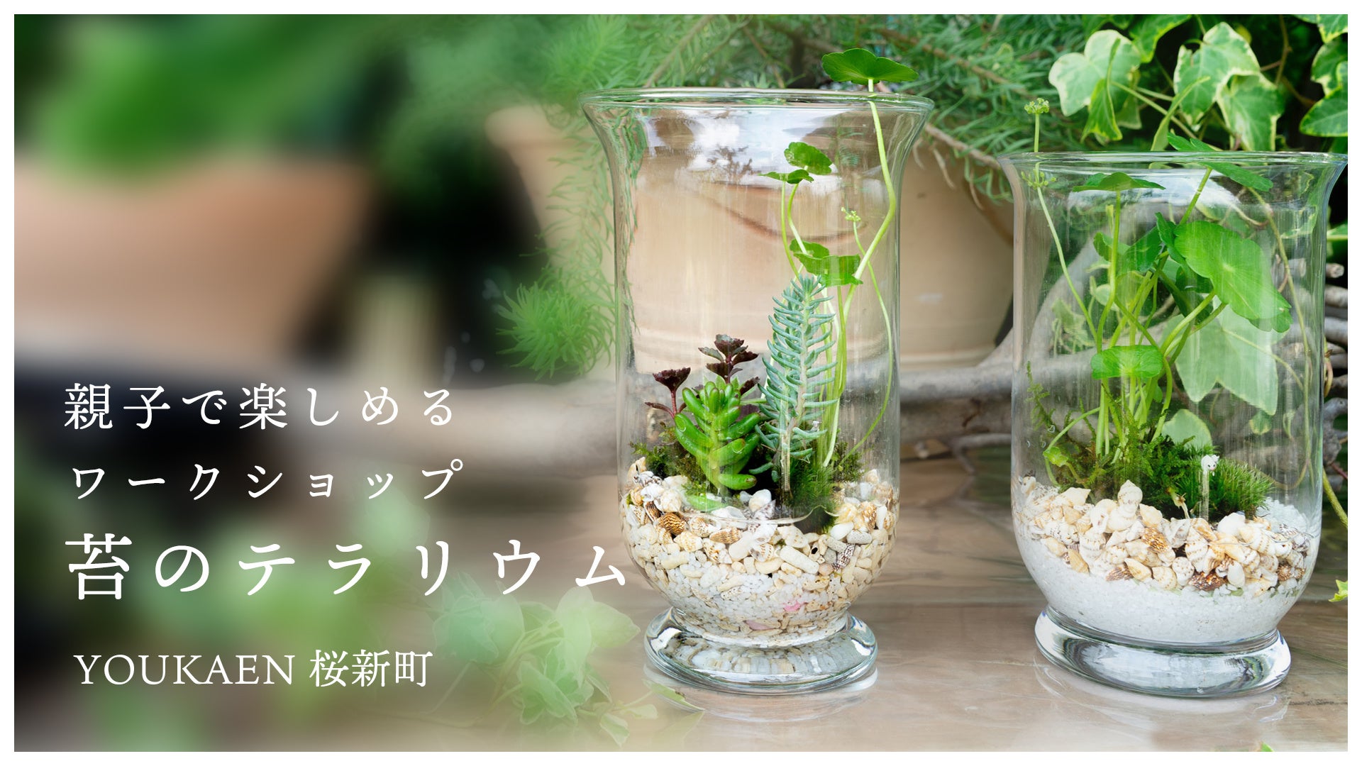 世田谷区桜新町 親子で楽しめる 苔を使ったテラリウム のワークショップを22年7月24日 日 開催 ユー花園のプレスリリース 世田谷区桜新町 親子で楽しめる 苔を使ったテラリウム のワークショップを22年7月24日 日 開催 ユー花園のプレスリリース