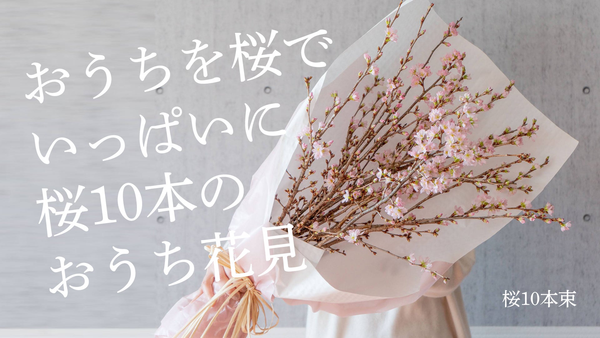おうちを桜でいっぱいに、桜10本の「おうち花見」