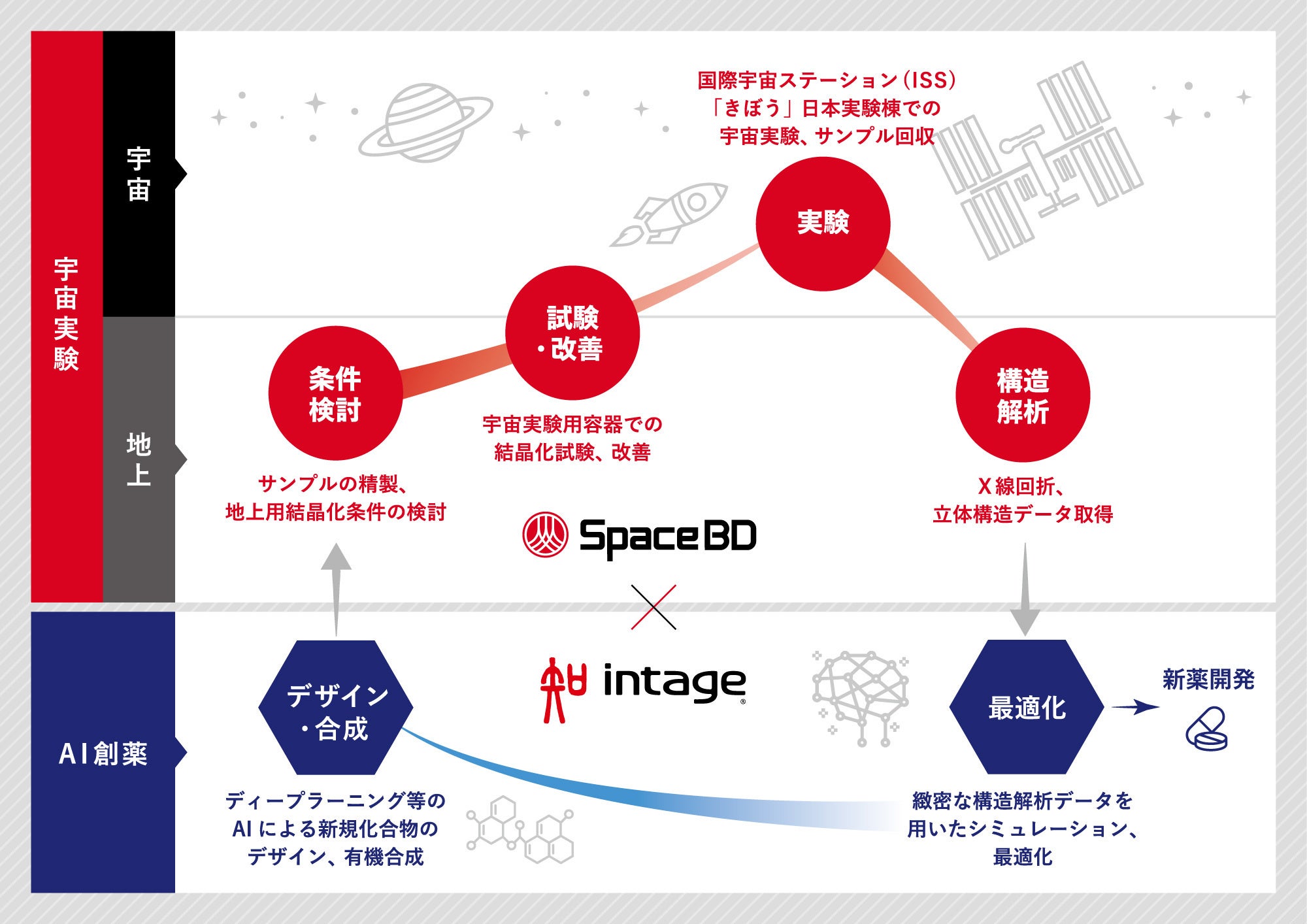 [AI創薬プラットフォーム「Deep Quartet」と「宇宙実験・高品質タンパク質結晶生成サービス」の連携図]