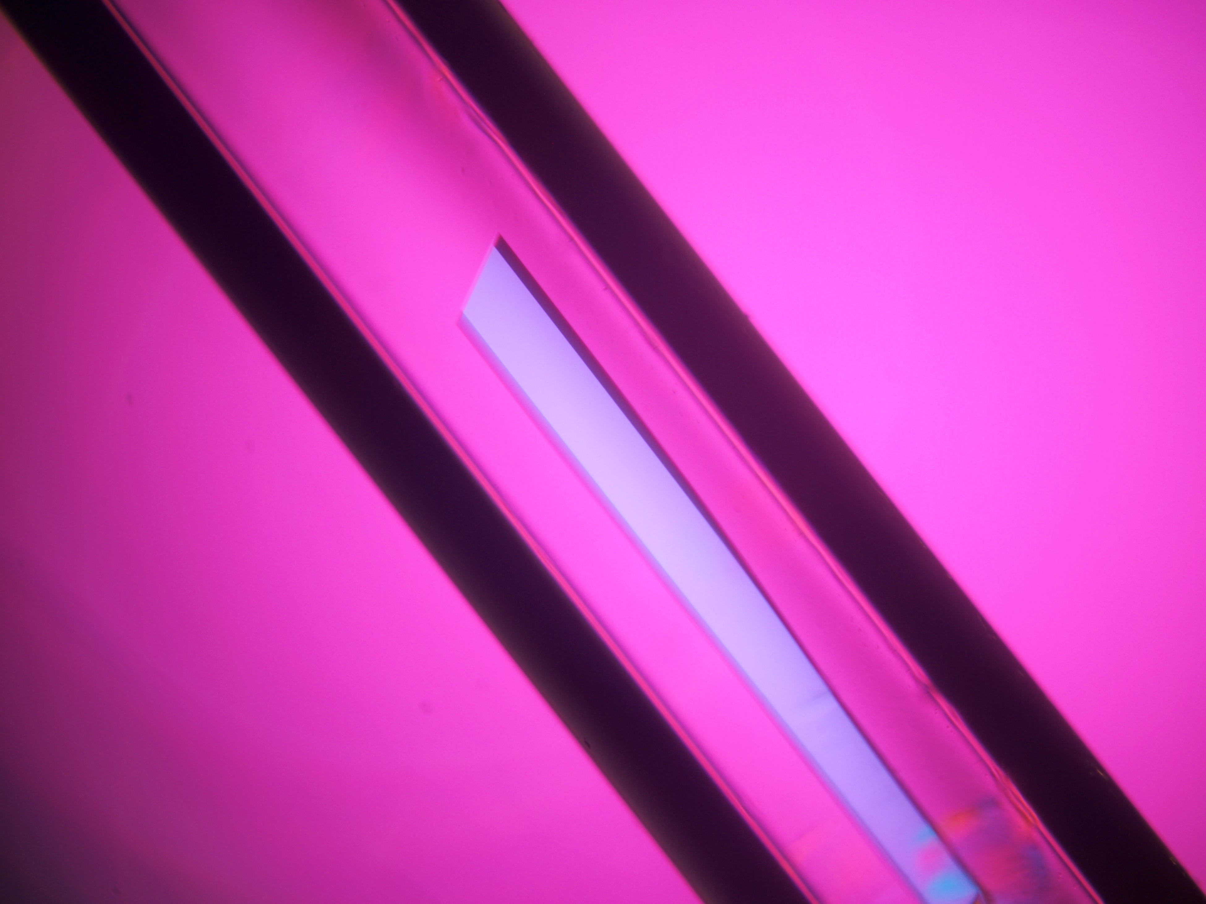 ISS(左)と地球上(右)で生成したアミラーゼのタンパク質結晶©JAXA 丸和栄養食品