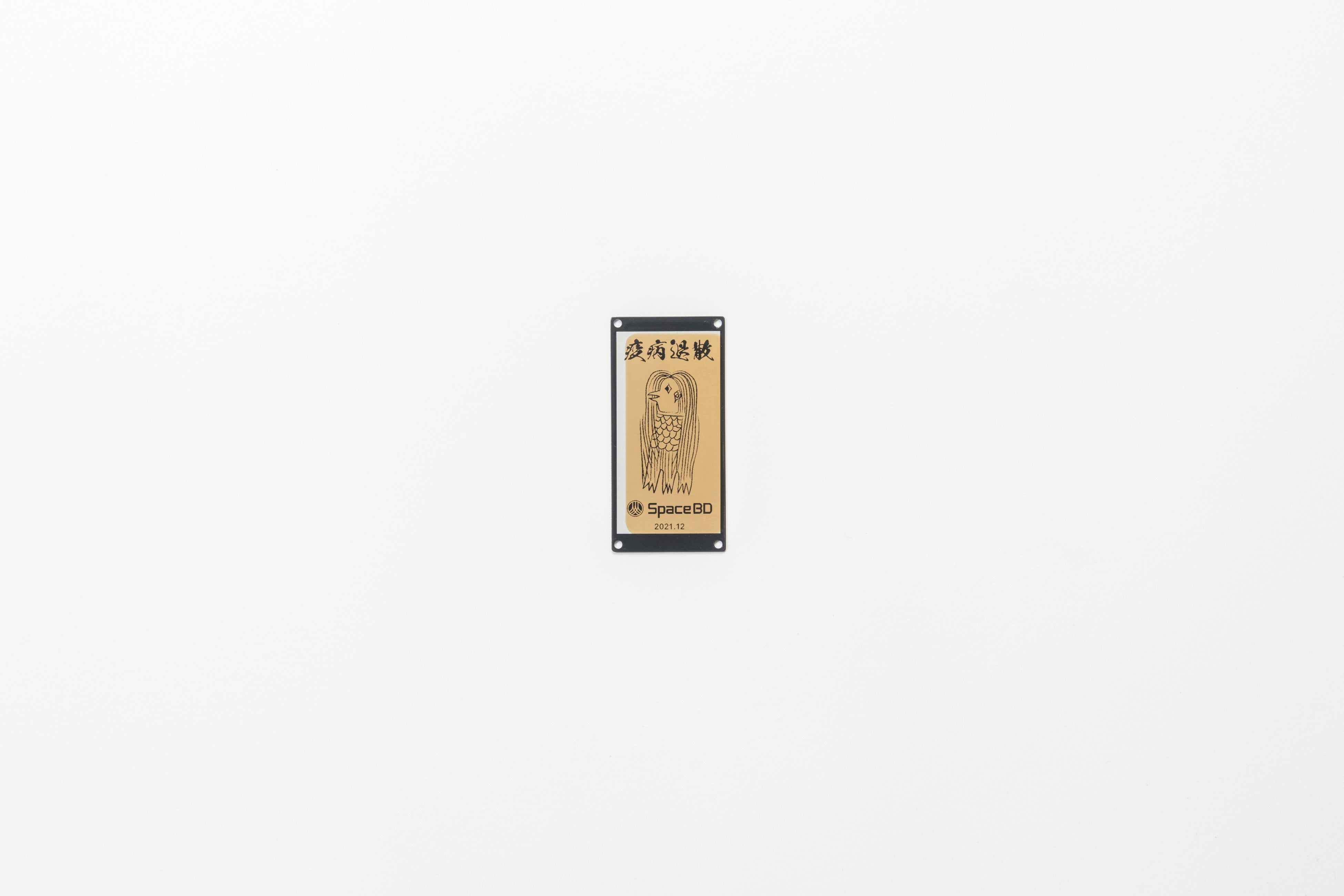 アマビエ像打上げ後