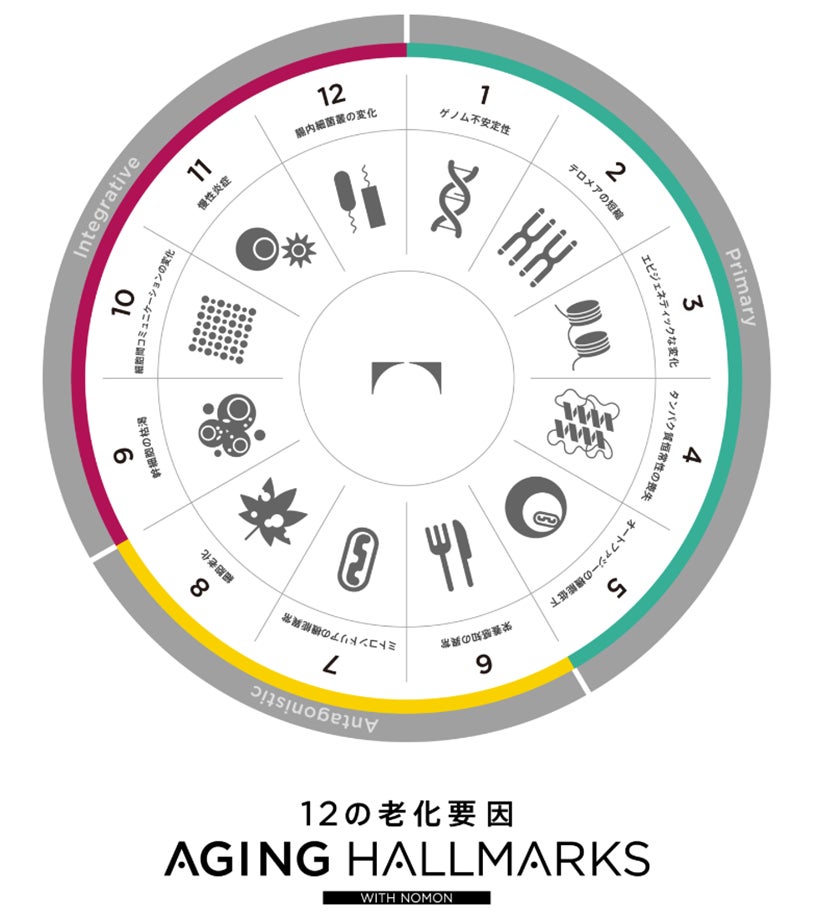12の老化要因『AGING HALLMARKS』~人類の老化制御を目指し、 研究・開発・製品化の指標に~ | NOMON株式会社のプレスリリース