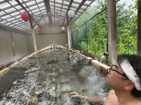 屋形船露天風呂　@YTS