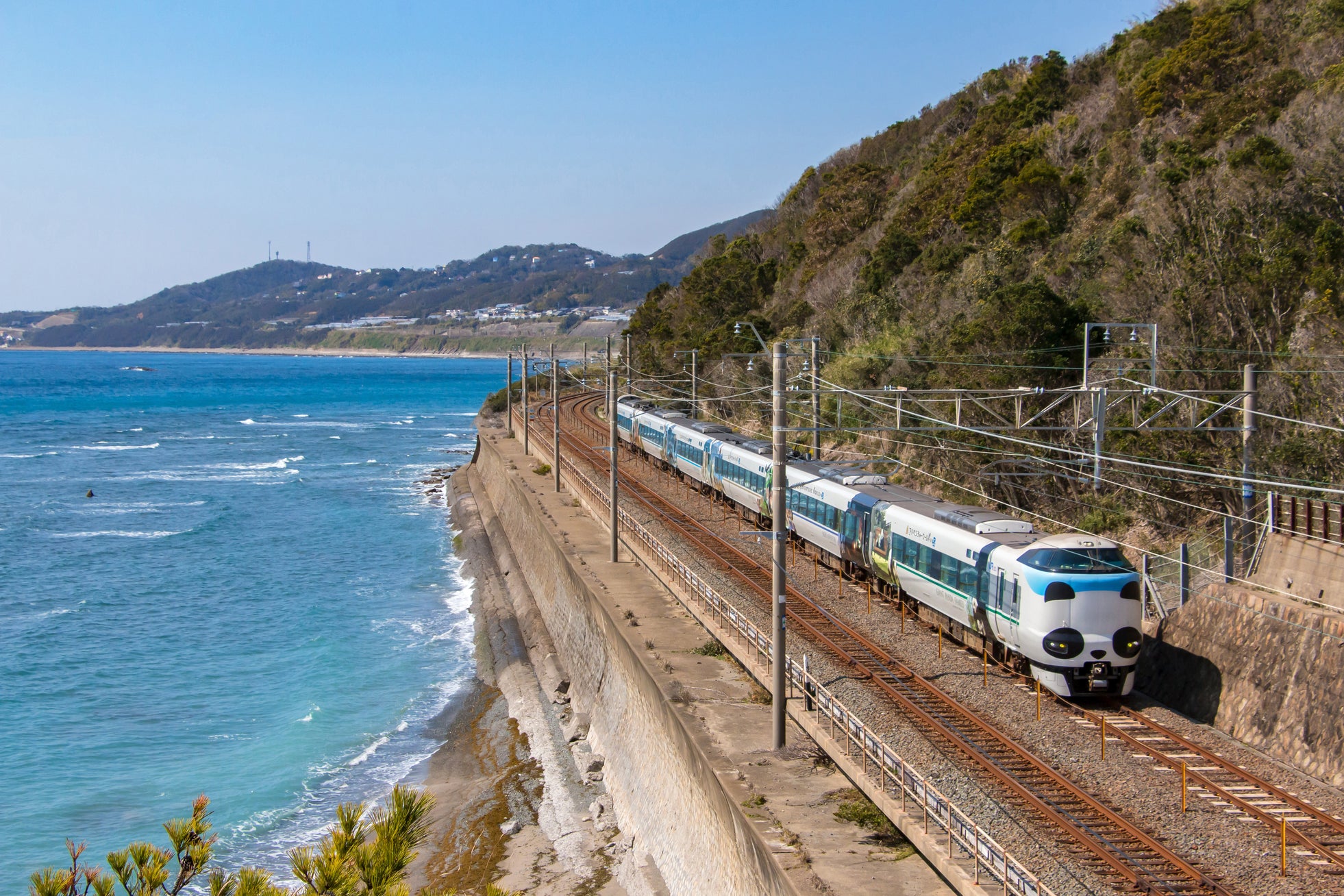 JR西日本「特急パンダくろしお号」貸切列車で行く!那智勝浦ツアー販売決定