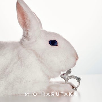 〈MIO HARUTAKA / Bijou de M〉POP UP STOREがランド オブ トゥモロー 丸の内店で開催中! 〈MIO HARUTAKA / Bijou de M〉POP UP STOREがランド オブ トゥモロー 丸の内店で開催中!