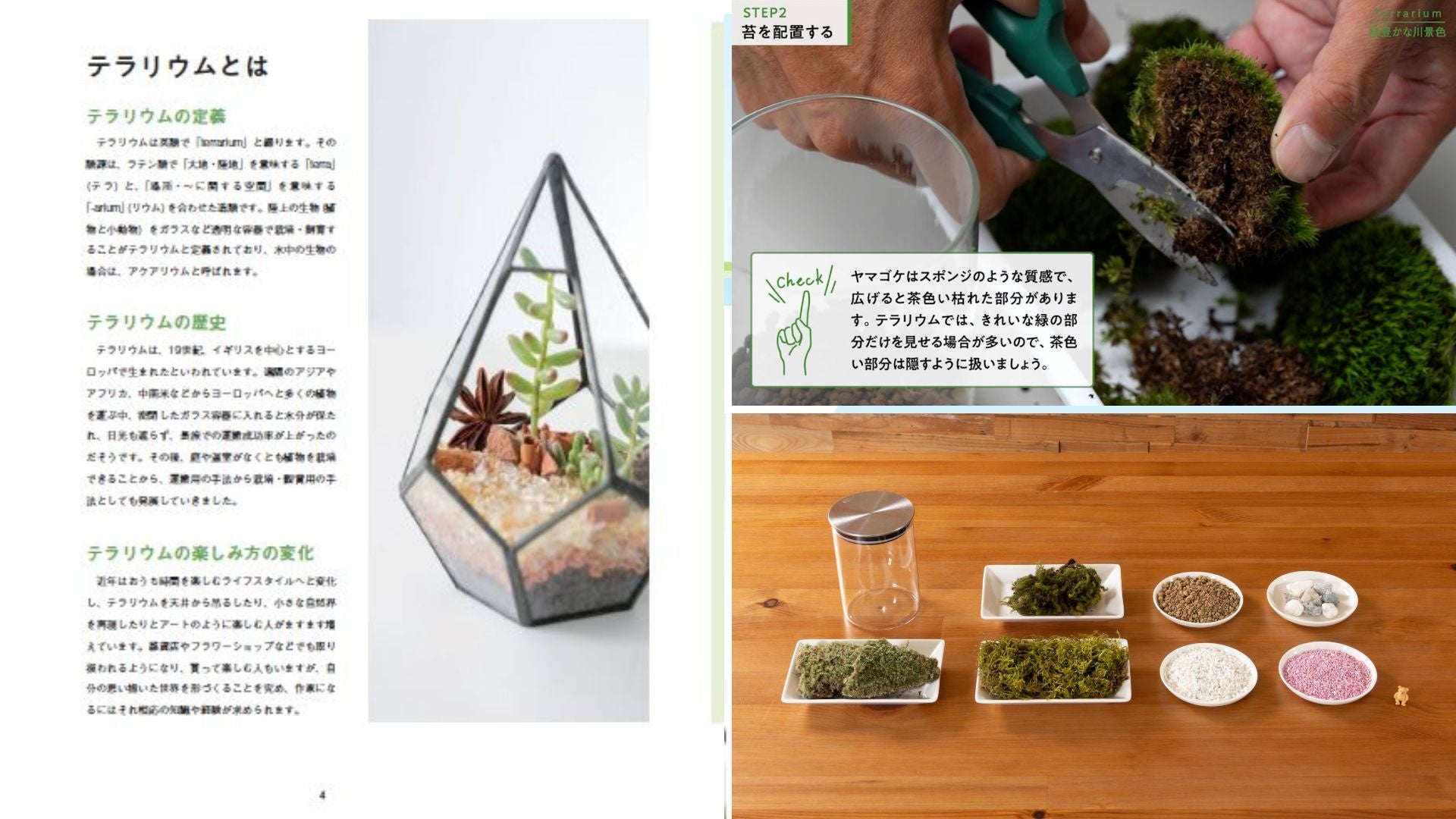 テキスト・映像講義・実習用キット