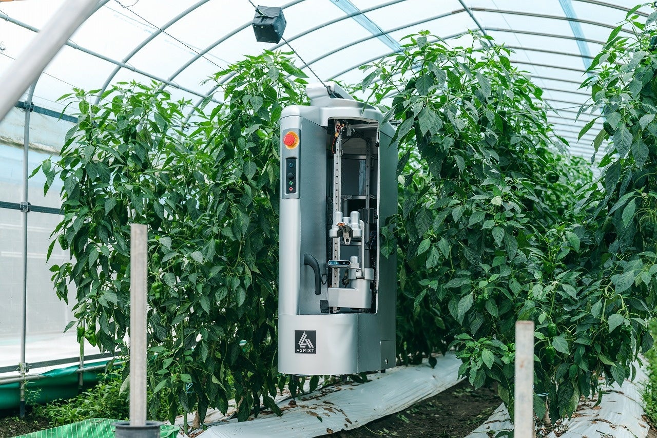 ピーマン自動収穫ロボット「L」