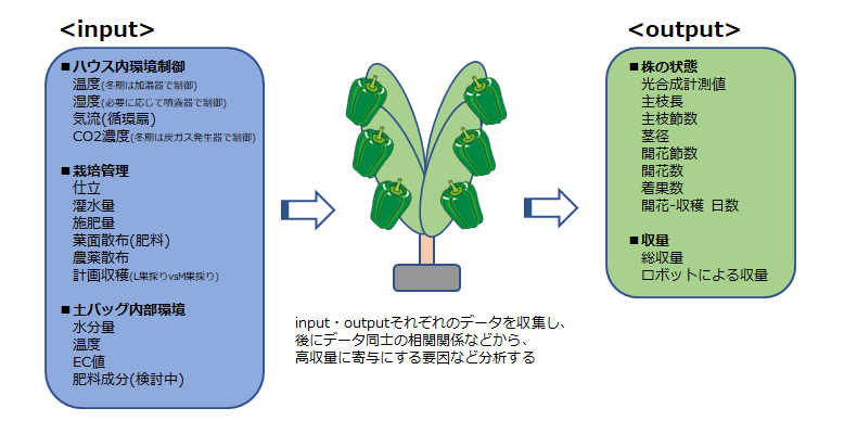 再現可能データ