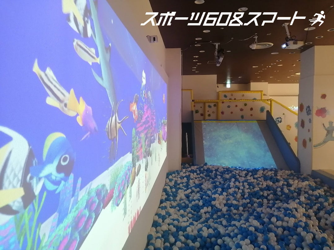 スポーツ60＆スマート「お絵描きシーパラダイス」