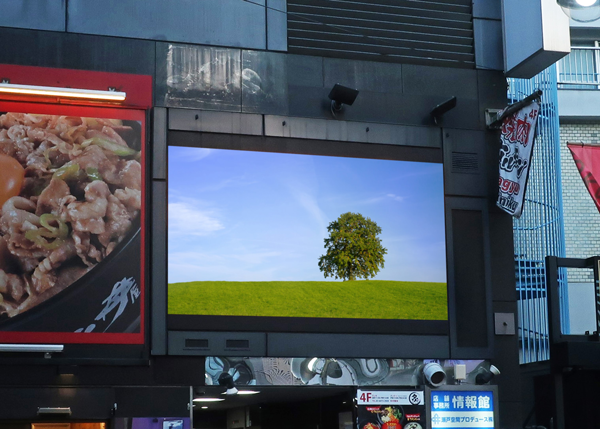 シグマビルビジョン