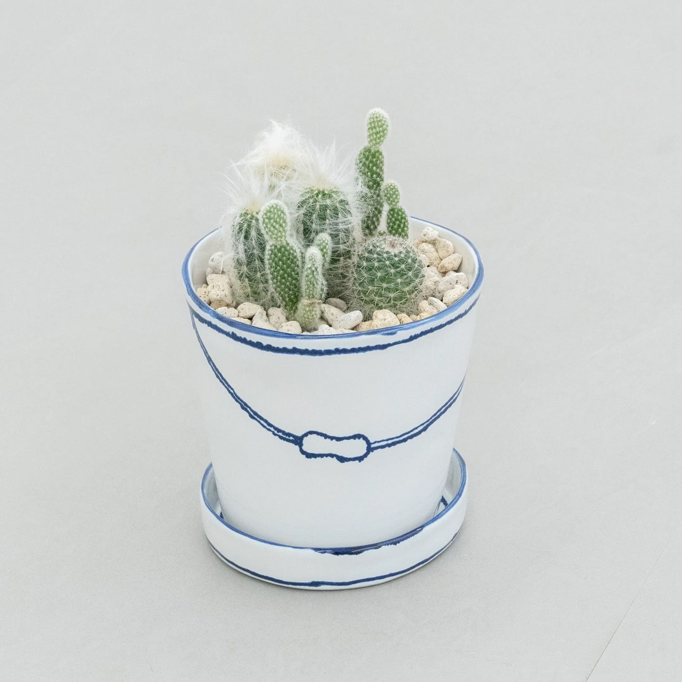 バケツの植木鉢(寄せ植え・サボテン)