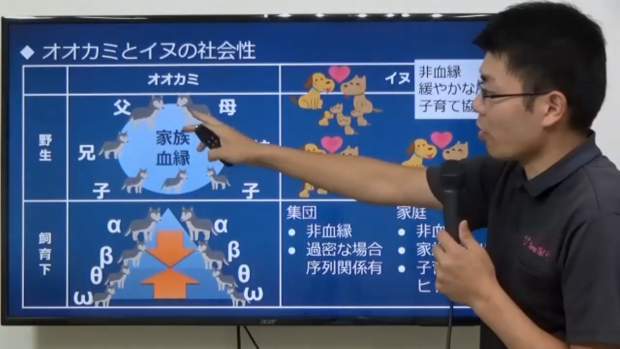 動物行動学専門の獣医師によるオンラインセミナー