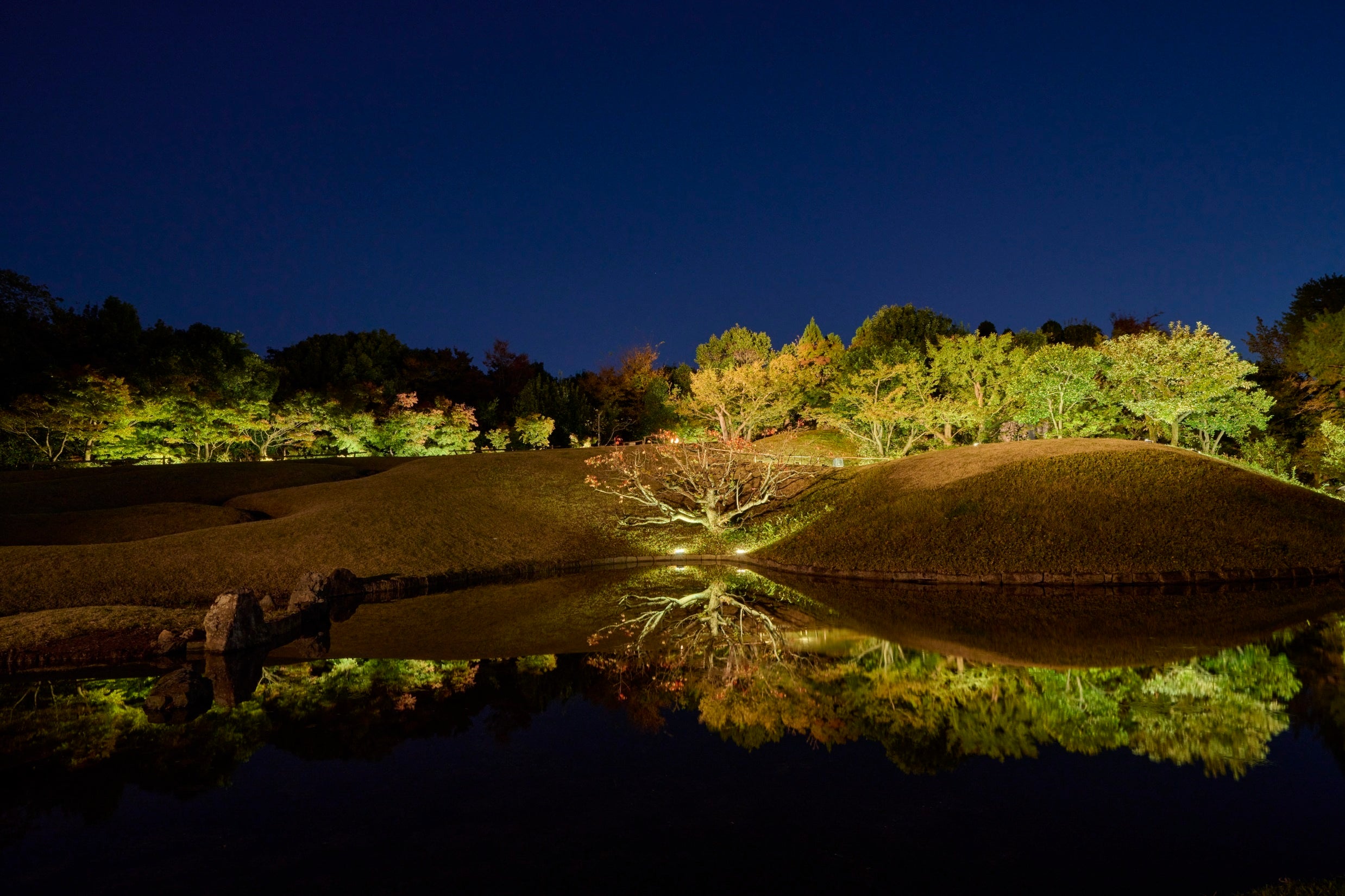 紅葉ライトアップの様子