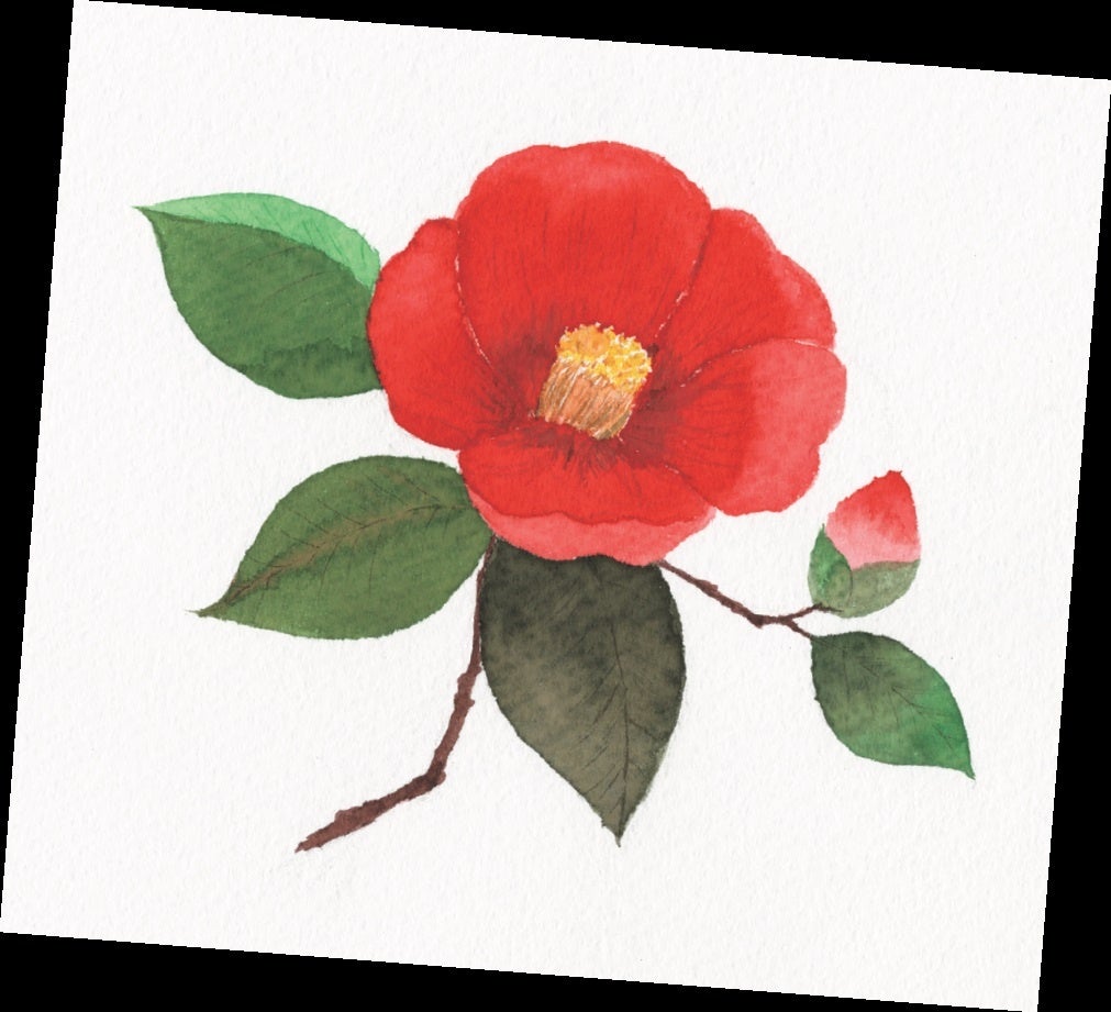 万年筆にハマる女性が増加中 Instagram投稿10万件超えの インク沼とは 株式会社 宝島社のプレスリリース