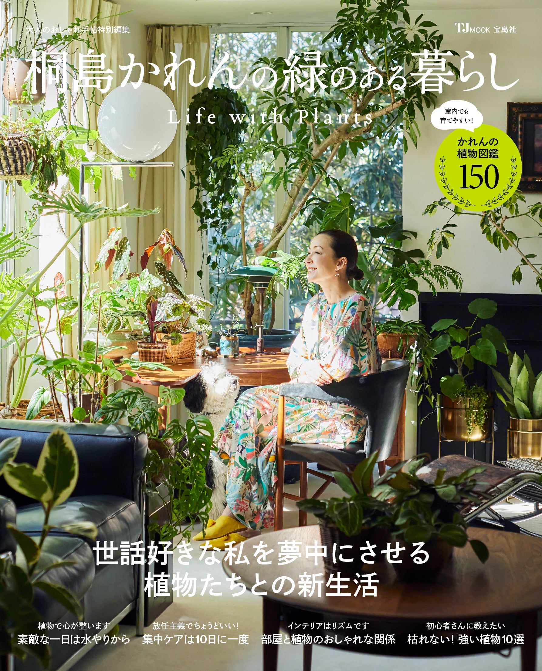 karenママ専用椅子4 （キッチンkaRen（東海市/洋食） - Retty