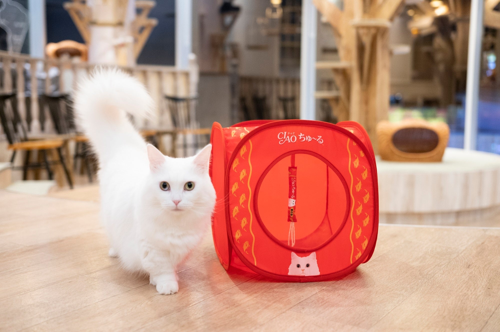 【猫】おまとめ売り2件 文庫屋「大関」 終売 招き猫 ぐるっとファスナーのお財布［t］